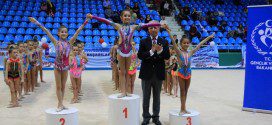 Чемпионат Турции  по художественной гимнастике